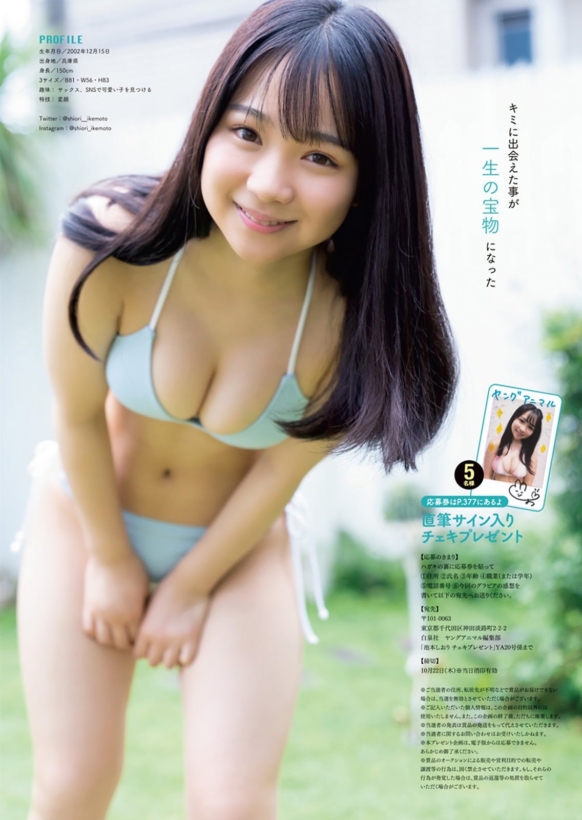 池本しおり グラビア水着画像② 4枚目