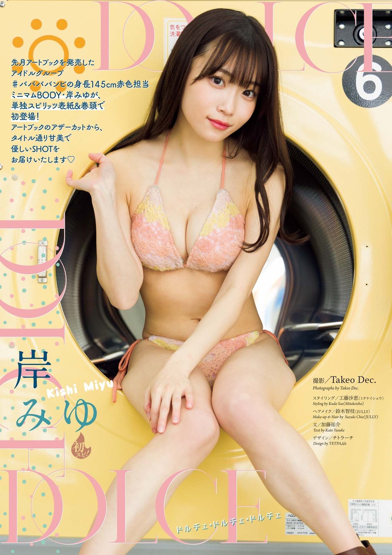 岸みゆ(#ババババンビ)最新グラビア水着画像③ 15枚目