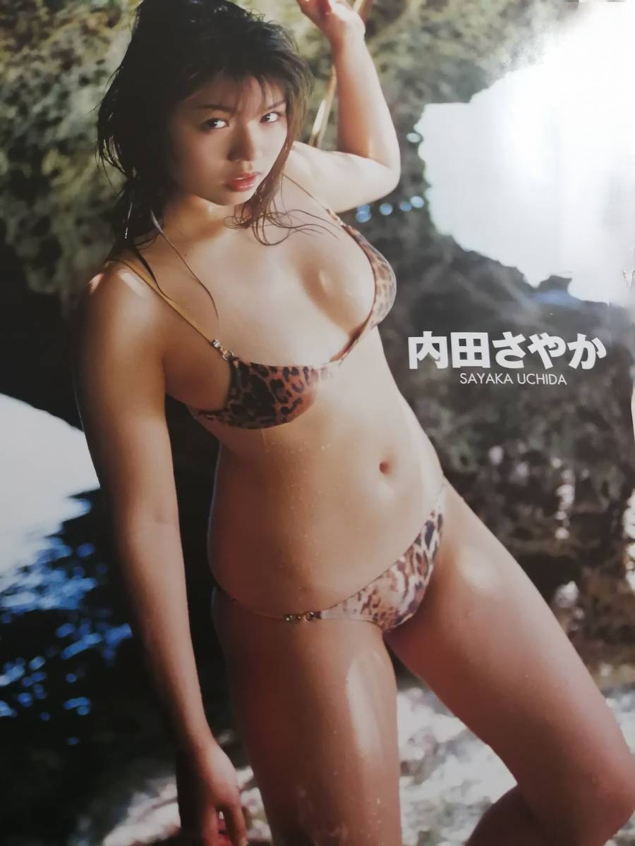水着グラビア 内田さやか 山本早織 下村真理 水谷さくら 1枚目