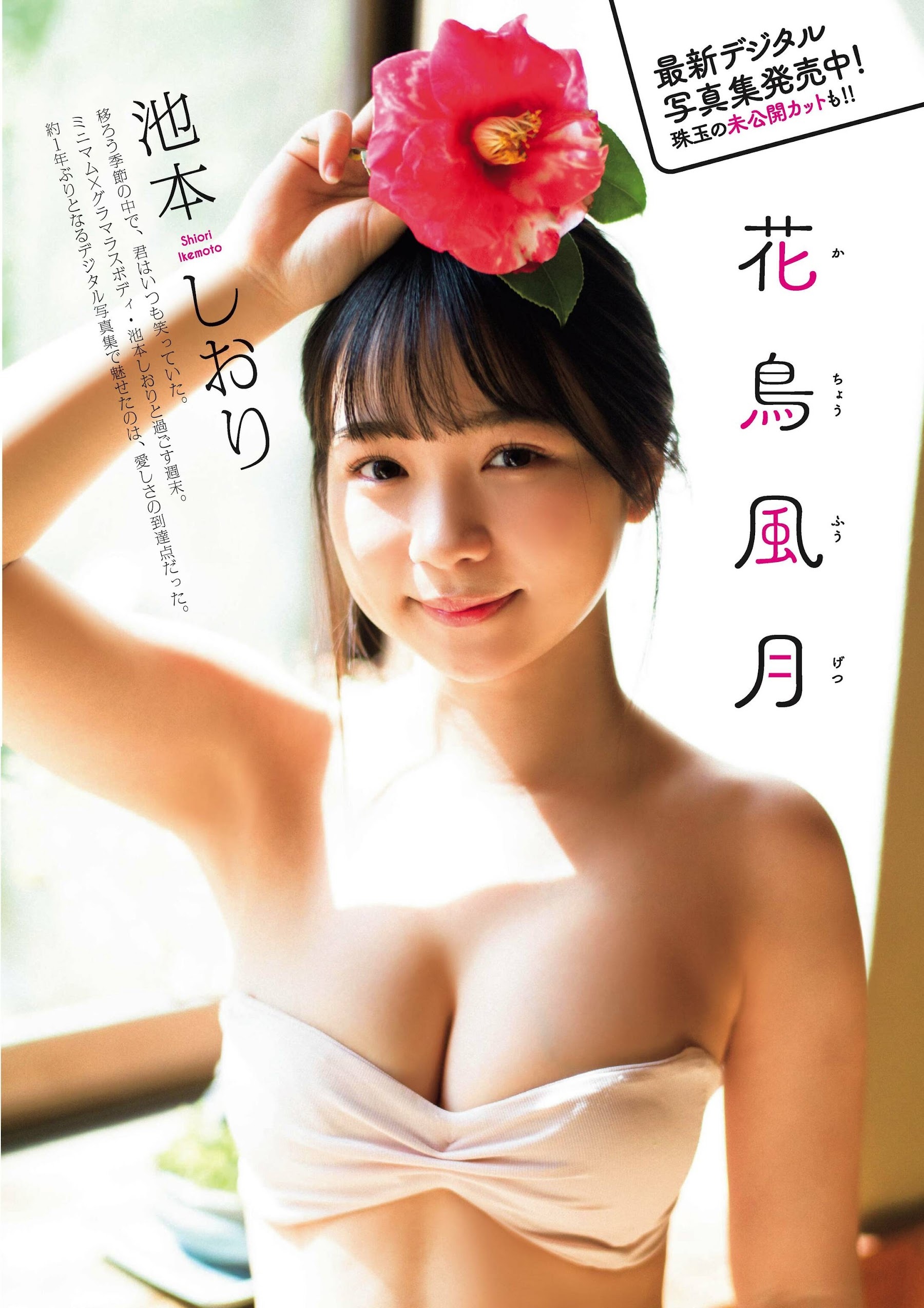 池本しおり 最新グラビア水着画像④ 17枚目