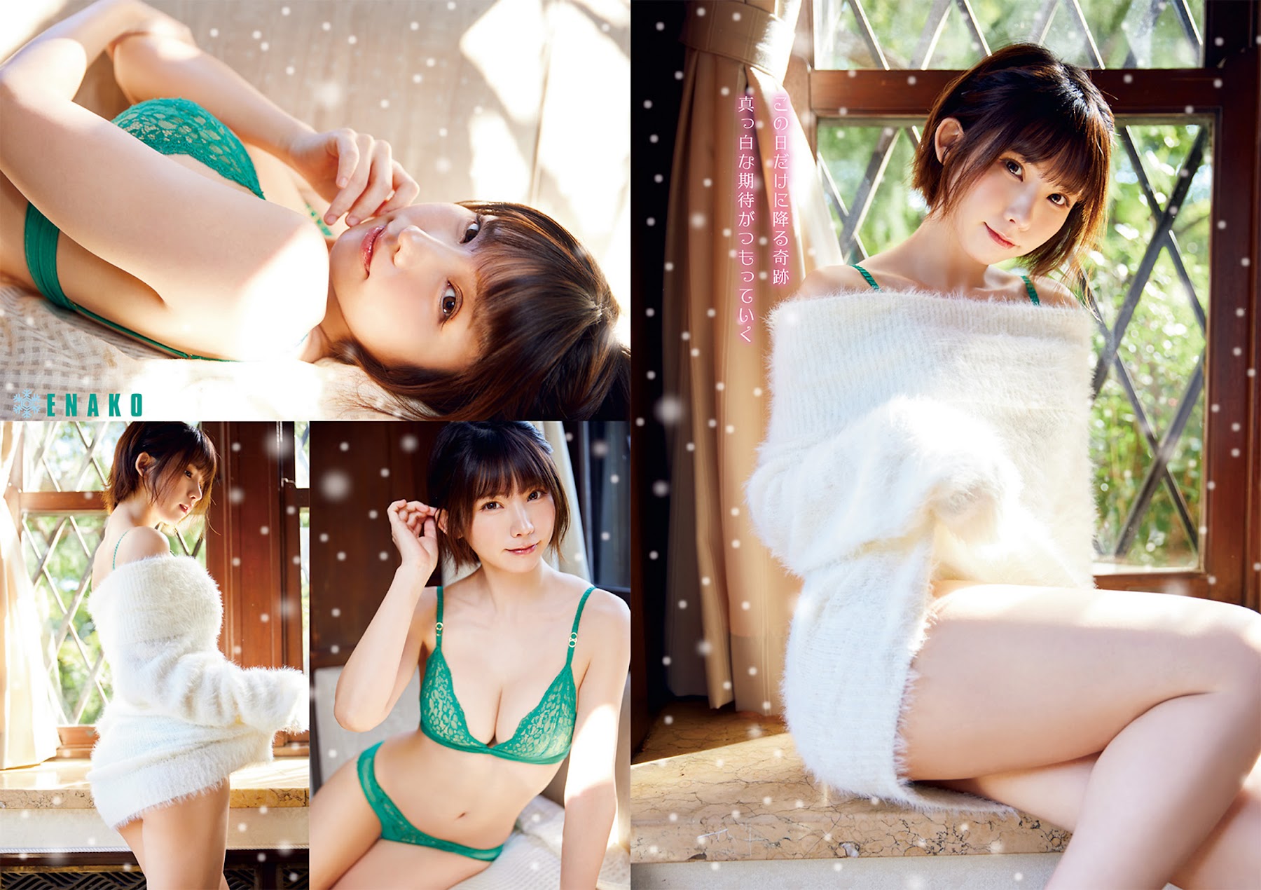 Young Animal ヤングアニマル 2022.12.23 No.24 えなこ 5枚目