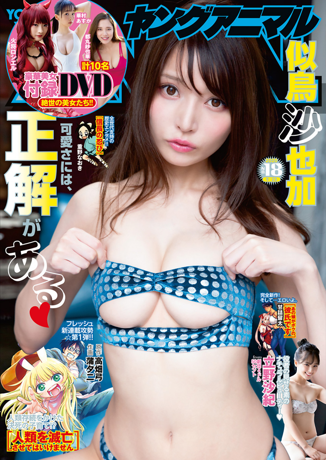 似鳥沙也加, Young Animal 2022 No.18 (ヤングアニマル 2022年18号) 1枚目