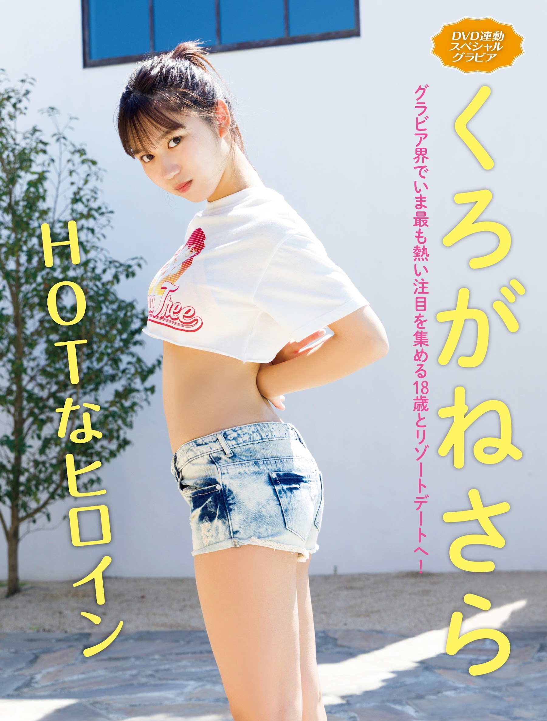 川道さら(くろがねさら)最新グラビア水着画像③ 22枚目