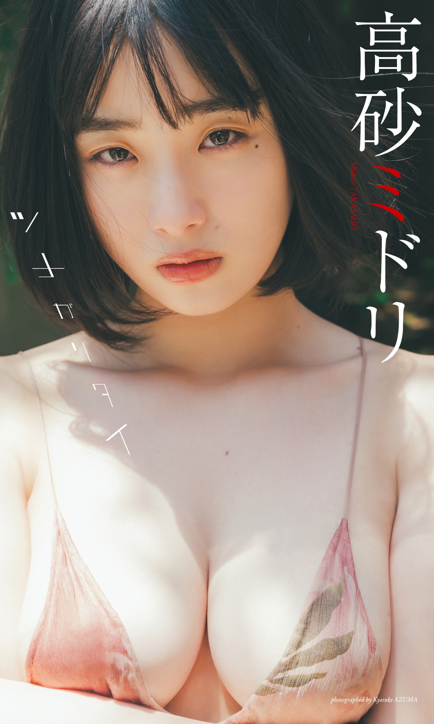 高砂ミドリ(大間乃トーコ)最新グラビア水着画像 1枚目