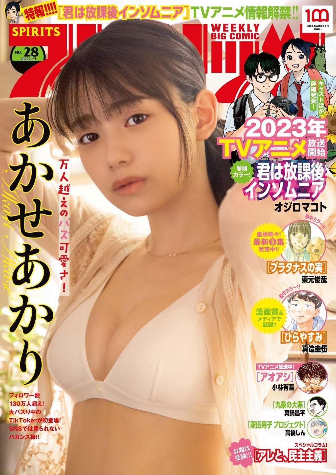 あかせあかり 最新グラビア水着画像④ 29枚目