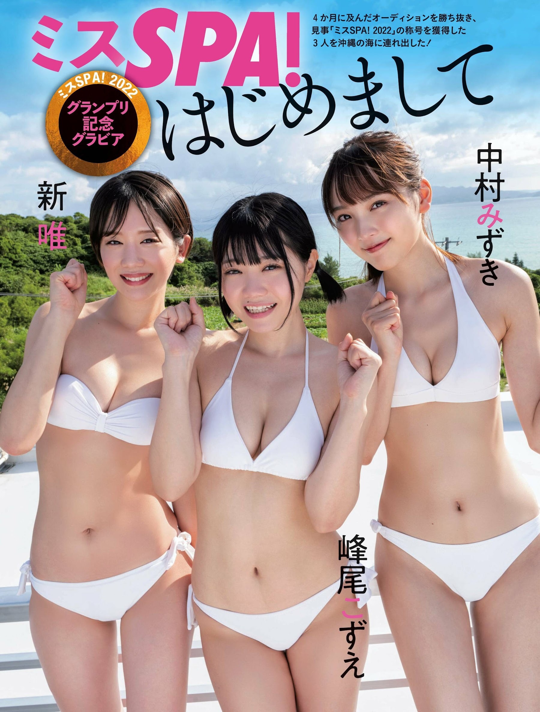 中村みずき 最新グラビア水着画像 13枚目
