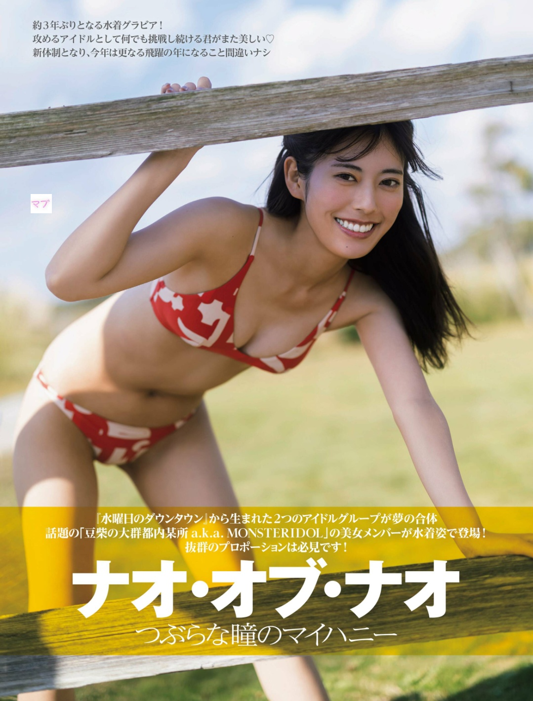 豆柴の大群 最新グラビア水着画像 1枚目
