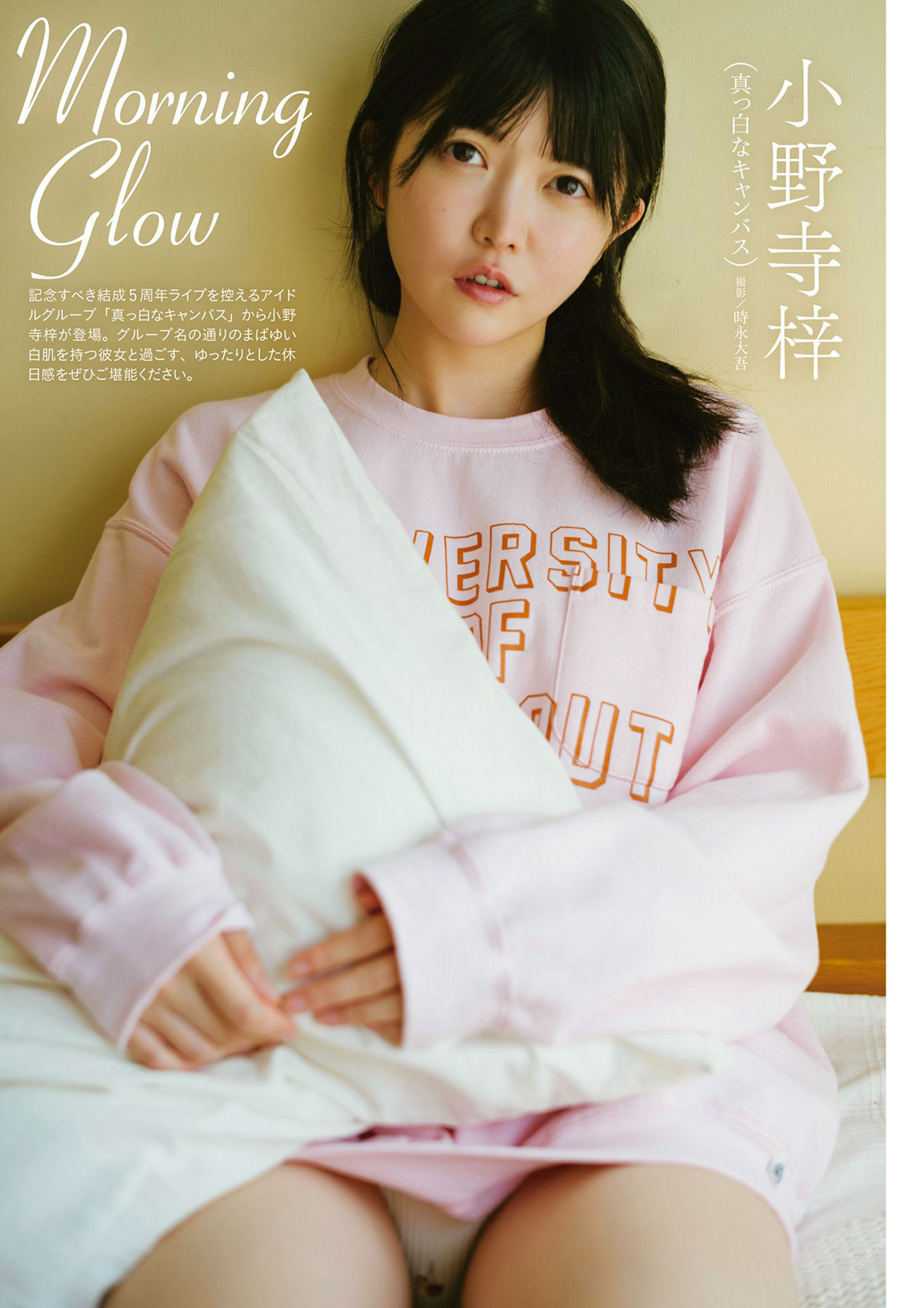 小野寺梓(白キャン)最新グラビア水着画像② 23枚目