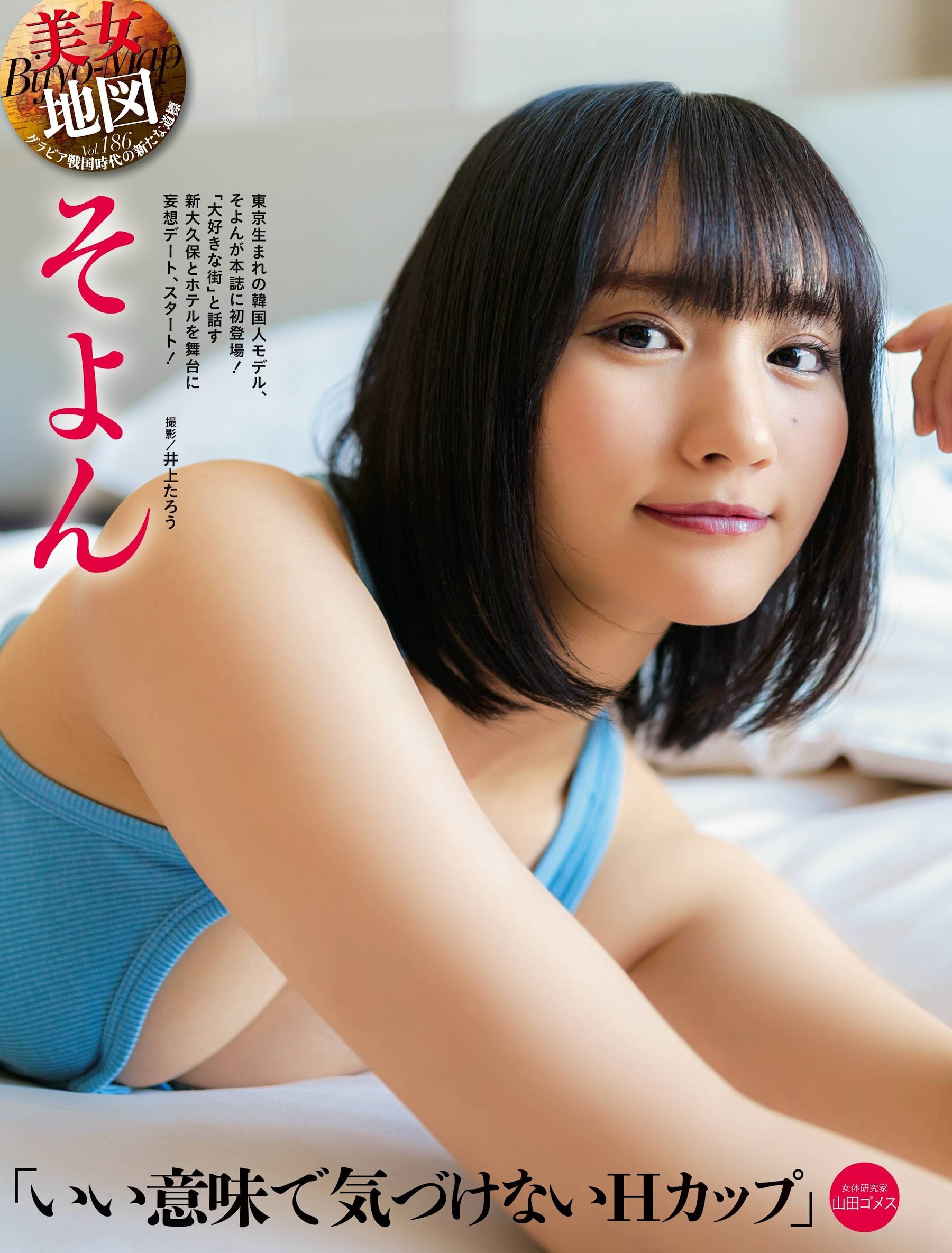 そよん グラビア水着画像① 17枚目