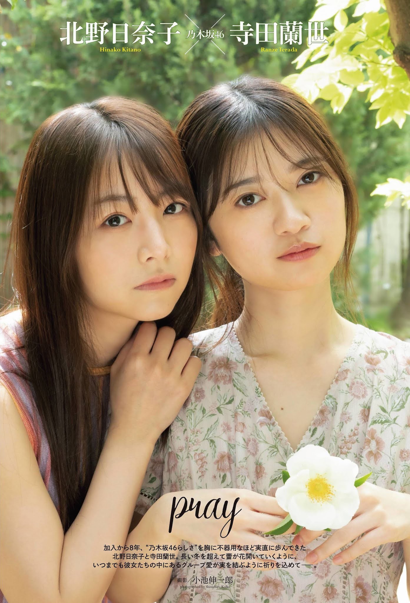 寺田蘭世(乃木坂46) 最新グラビア画像 11枚目