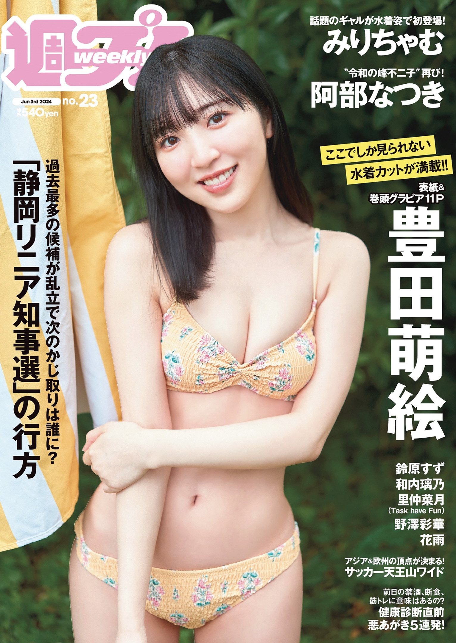 豊田萌絵 最新グラビア水着画像② 1枚目