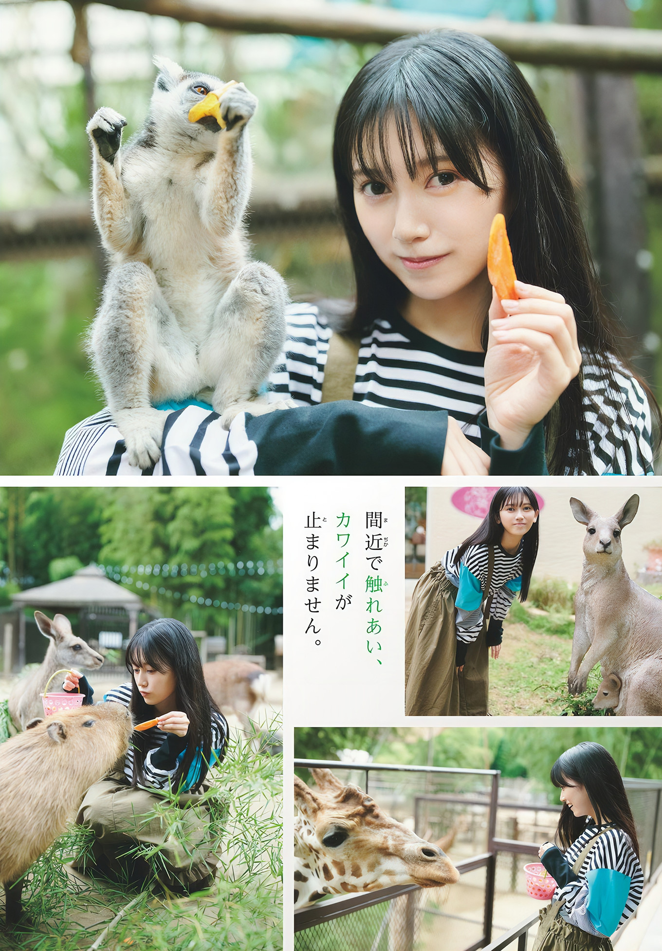 池田瑛紗(乃木坂46)最新グラビア画像 4枚目