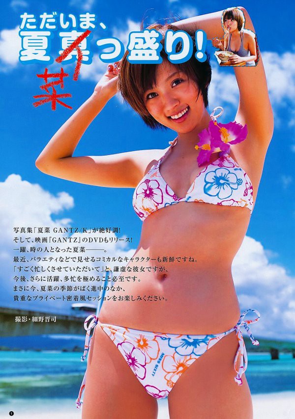 夏菜 ビキニ画像!若い頃の抜群スタイルがたまらない! 5枚目