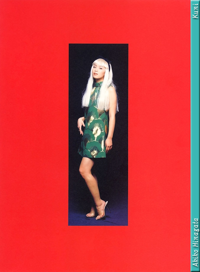 雛形あきこ グラビア水着画像 Akiko Hinagata 10枚目