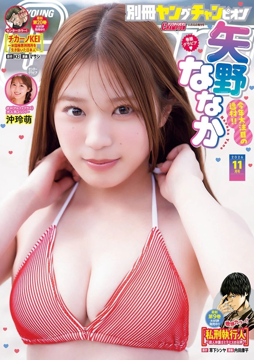 矢野ななか 最新グラビア水着画像⑤ 21枚目