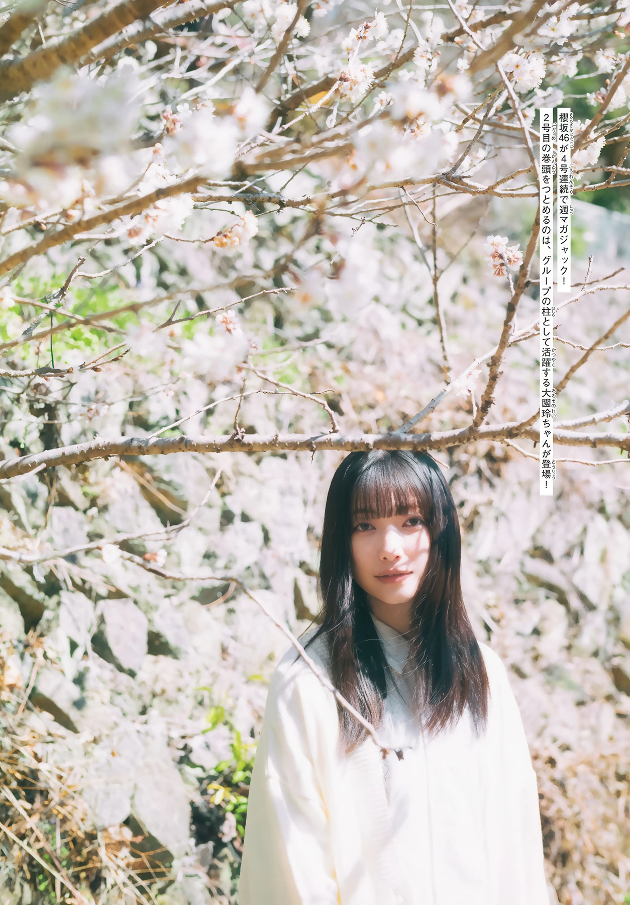 大園玲. Sakurazaka46 櫻坂46, Shonen Magazine 2026 No.21 (週刊少年マガジン 2026年21号) 6枚目