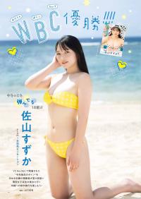 佐山すずか(手羽先センセーション)最新グラビア水着画像